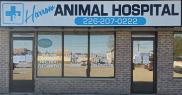 harrow animal hospital